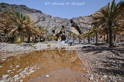 Wadi Bani Awuf