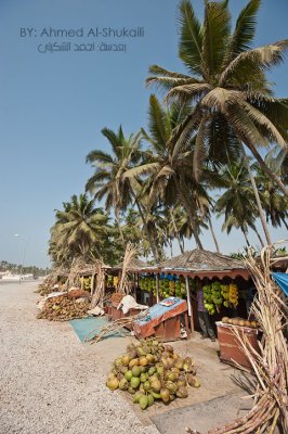 Tropical fruits stalls