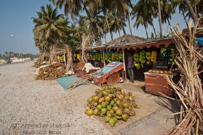 Tropical fruits stalls
