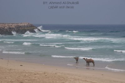Dhalkout Beach