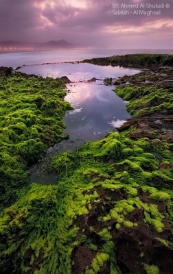 Al-Maghsail Beach
