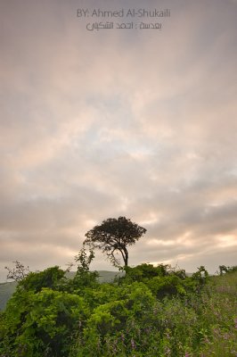 Green Hills of Iteen