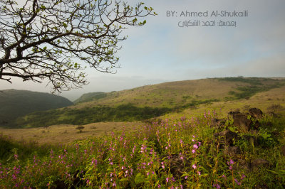 Green Hills of Iteen