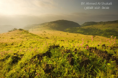 Green Hills of Iteen