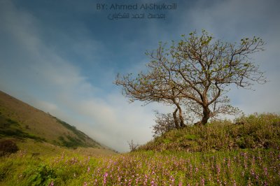 Green Hills of Iteen