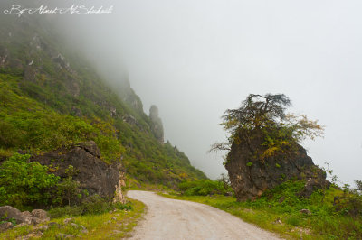 Al-Fazayeh