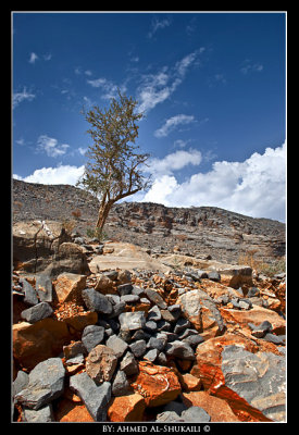 Oman Interior