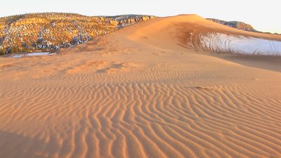 Coral Pink Sand Dunes State Park, Utah (1/16/09)