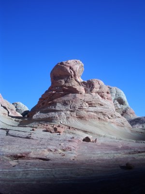 PICT0091.JPG
