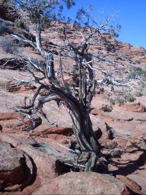 PICT0103.JPG