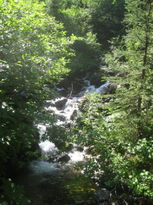 IMG_1635.JPG