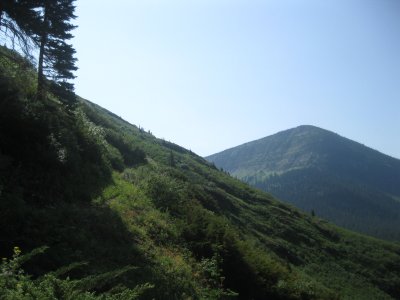 IMG_1643.JPG