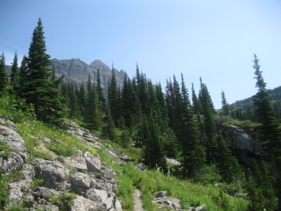 IMG_1649.JPG