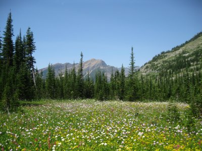 IMG_1657.JPG
