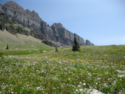 IMG_1661.JPG