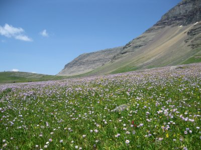 IMG_1679.JPG