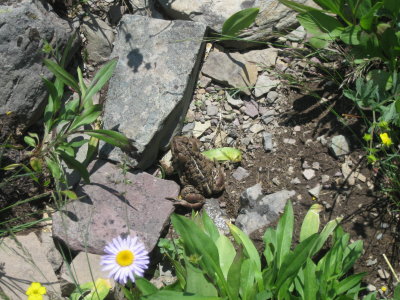 IMG_1682.JPG