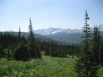 IMG_1684.JPG