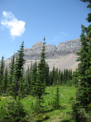 IMG_1691.JPG