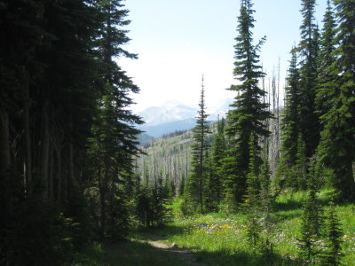 IMG_1693.JPG