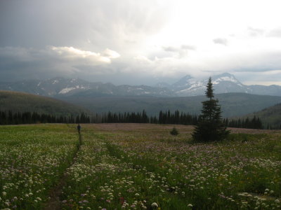 IMG_1742.JPG