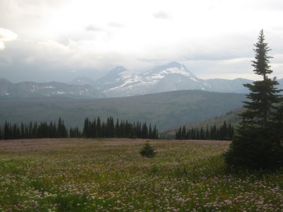 IMG_1743.JPG