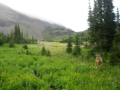 IMG_1749.JPG
