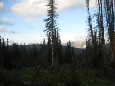 IMG_1751.JPG