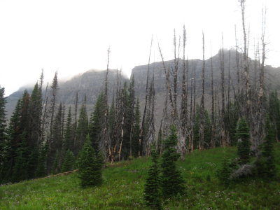IMG_1755.JPG
