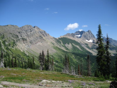 IMG_1845.JPG