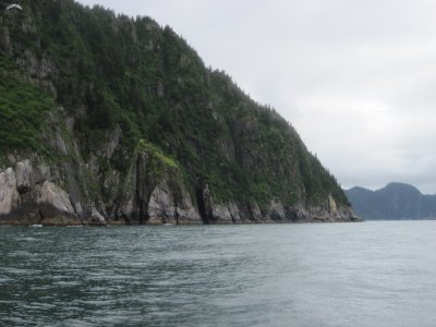 July 10, 2010 - Kayaking Kenai Fjords National Park