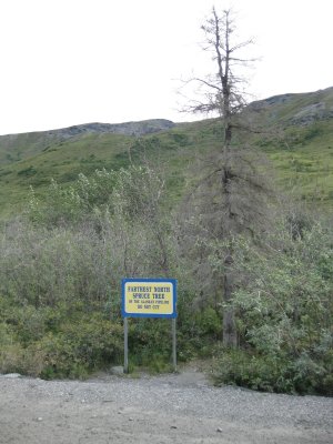 g1/98/767198/3/127291256.tBwQHyI0.jpg