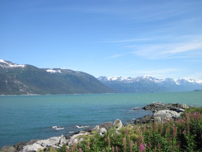 g1/98/767198/3/127301538.3IYLLIqF.jpg
