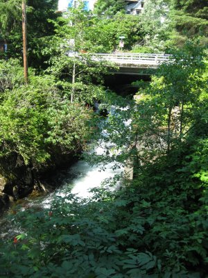 g1/98/767198/3/127308703.0zXPvixL.jpg