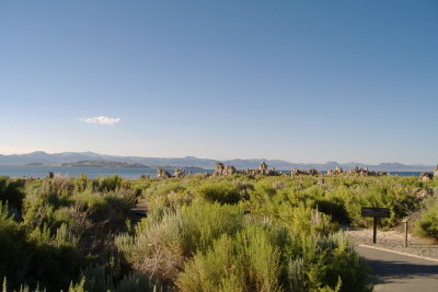DSCF0493.JPG