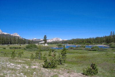DSCF0504.JPG
