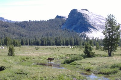 DSCF0506.JPG