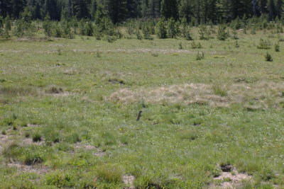 DSCF0508.JPG