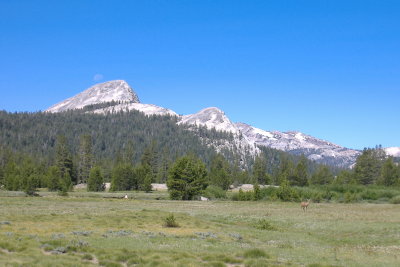DSCF0509.JPG
