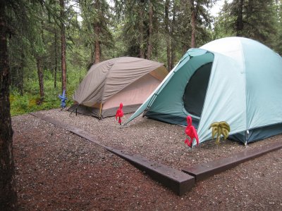 July 14-17, 2010 - Denali National Park