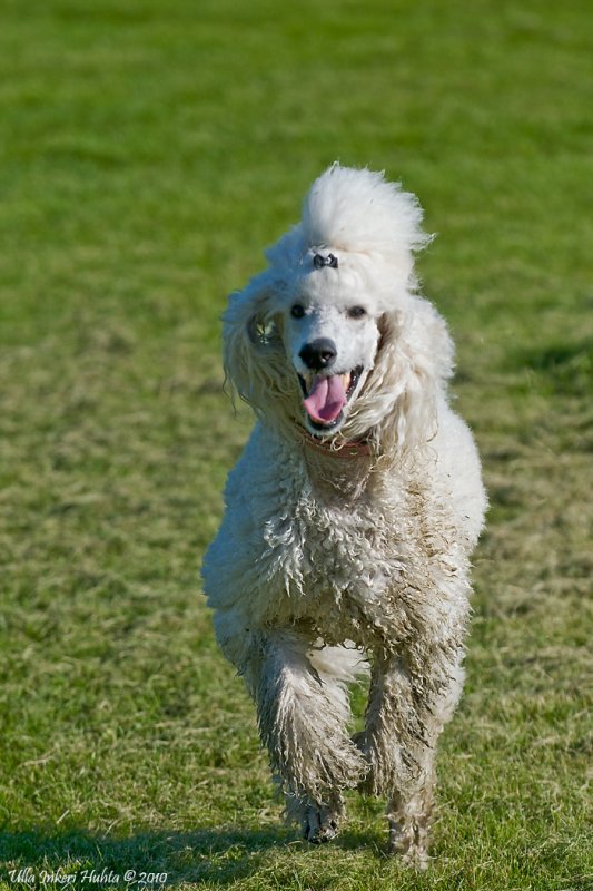 After a nice mud-bath