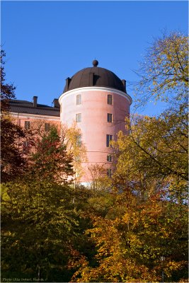 Uppsala Castle in autumn colours