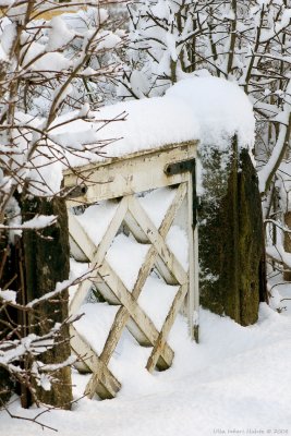 Snowy gate