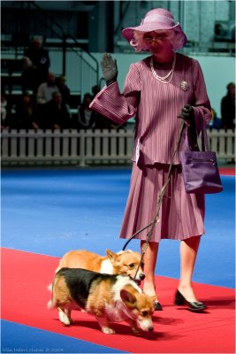 11/12 And Her Majesty visited Hund 2008. Not