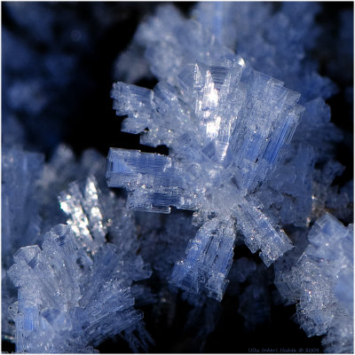 31/12 Lovely tiny ice crystal from todays walk