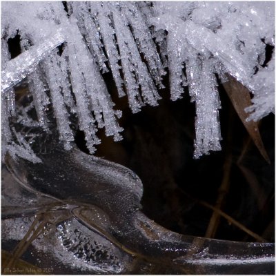 5/2 Frost fringes from Wednesday