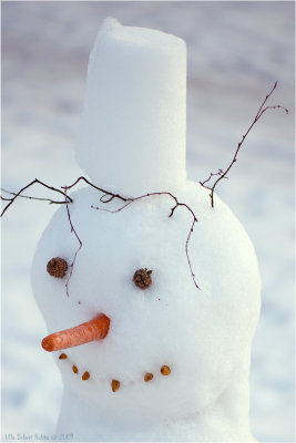 Snowman in the backyard