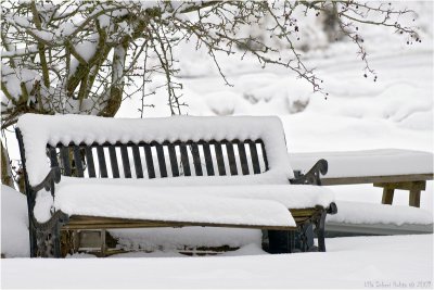 14/3 Spring, what spring?