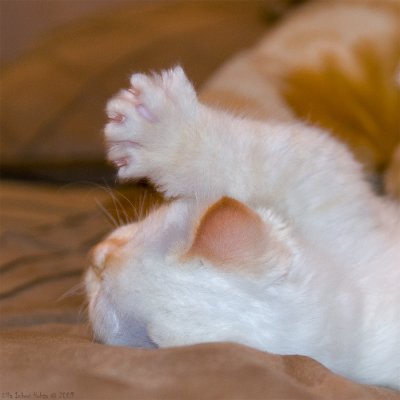 Little stretching...