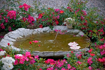 13/8 Rose garden bird bath with fountain
